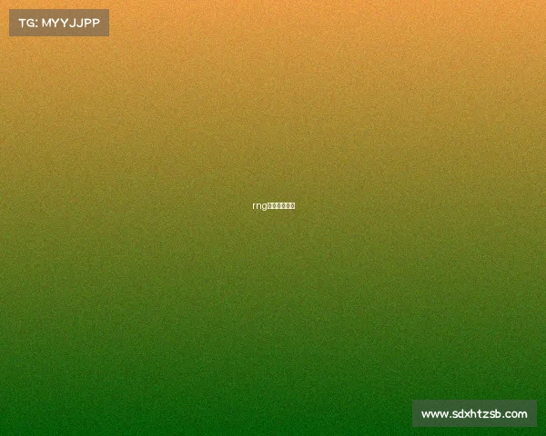 rng永不言弃口号 rng永不言弃口号