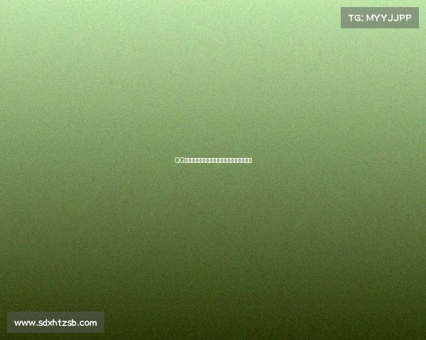 QG新阵容亮相这支青春风暴能掀起多大波澜？